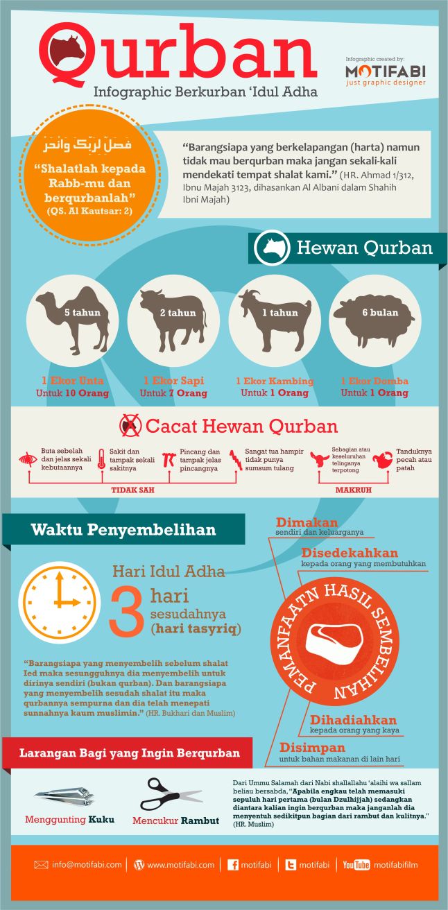 (Pic) Infografic Berkurban Idul Adha